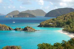 trunk bay