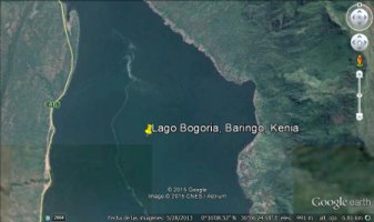 Lago bogoria, baringo, kenia3