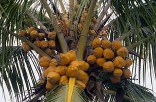 Concurso de Geolocalización con Google Earth