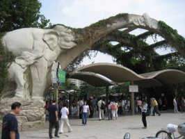 zoo shanghai1