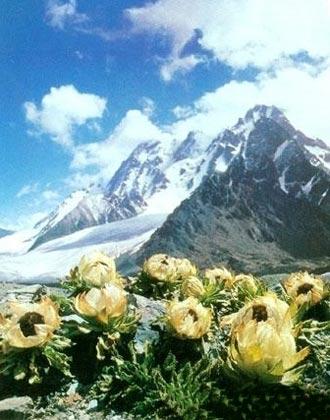 Montes Tianshan, Xinjiang, China 1