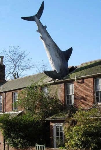 tiburon en el tejado - Grandes Estatuas y Monumentos