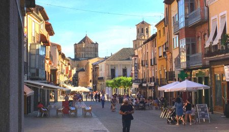 Toro, Zamora, Castilla y León (Foto 5)