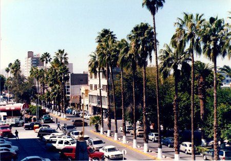 Torreón, Coahuila, México 1