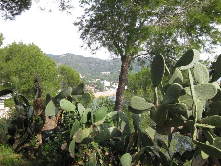 Tossa de Mar, Girona 1