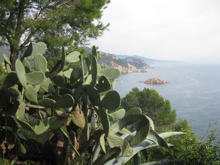 Tossa de Mar, Girona 0