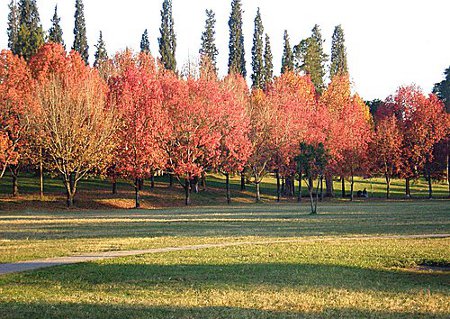 Tucumán, Argentina 1