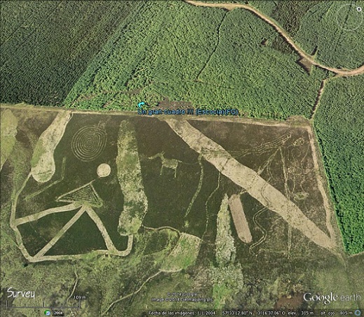 Corazon gigante en un bosque 🗺️ Foro General de Google Earth 1