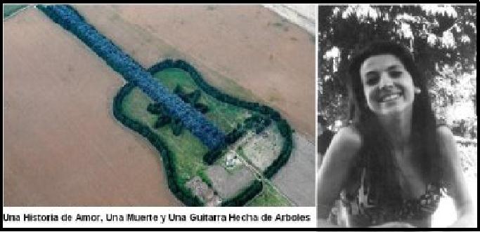 Bosque Guitarra - Cordoba - Argentina