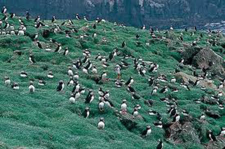 Vágar, Islas Faroe, Dinamarca 🗺️ Foro Europa 0