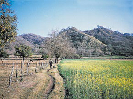 Valle Choromoro, Tucumán, Argentina 1