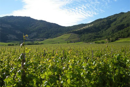 Valle de Loira, Aztl-le-Ris, Francia 1