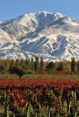 Valle de Uco, Mendoza, Argentina 1