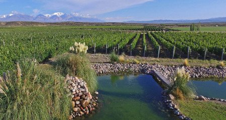 Valle de Uco, Mendoza, Argentina 1