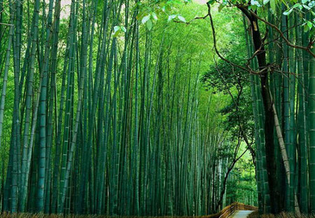 Valle Mounigou, Sichuan, China 0