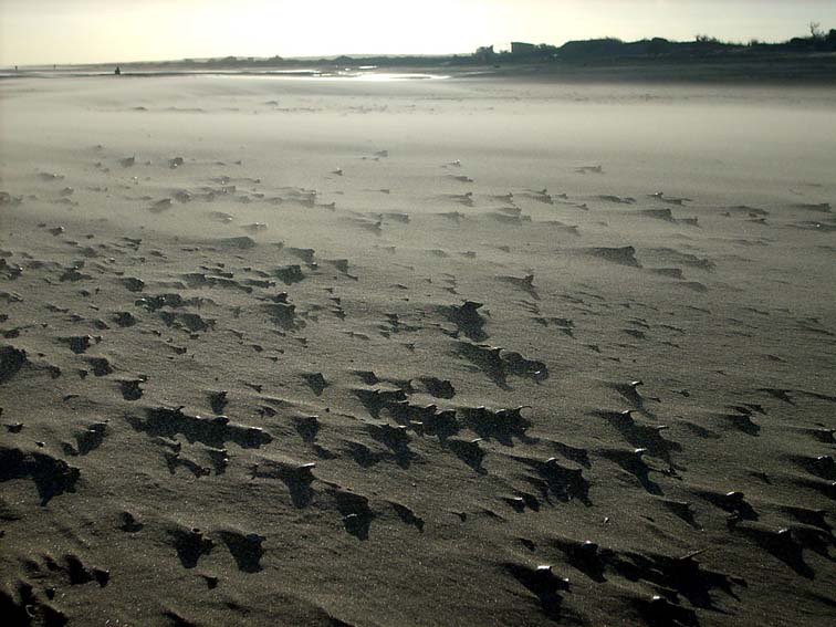 CABO POLONIO- Naturaleza, paz y armonía 🗺️ Foro América del Sur y Centroamérica 2