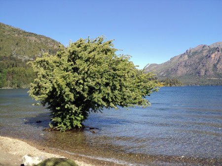 Villa Los Coihues, Lago Gutierrez, San Carlos de Bariloche, 0