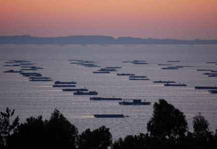 Visita a la Ria de Arousa, Pontevedra 0