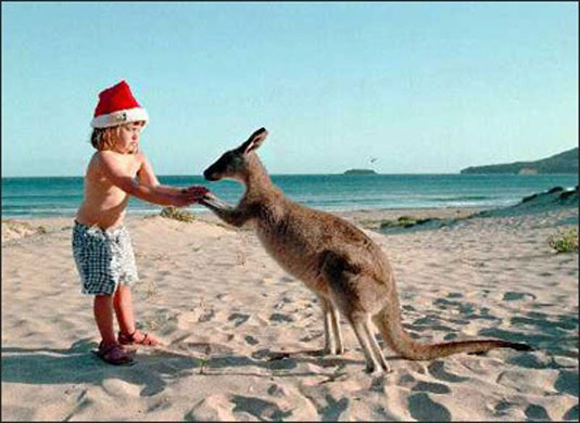 Playa Dorada, Australia