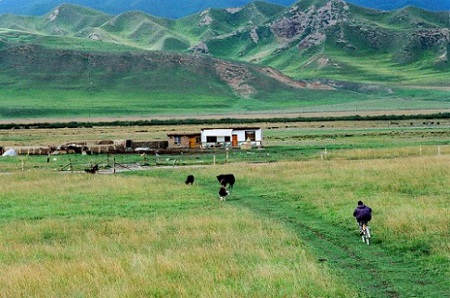 Monasterio Labrang, Xiahe, Gansu, China 🗺️ Foro China, el Tíbet y Taiwán 1