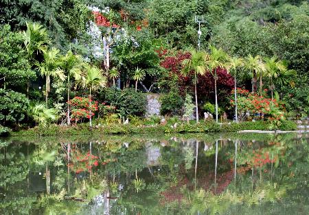 Jardin Xishuangbanna, Yunnan, China 2