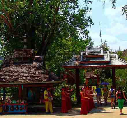 Jardin Xishuangbanna, Yunnan, China 🗺️ Foro China, el Tíbet y Taiwán 0