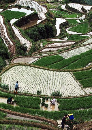 Xiuning, Anhui, China 0