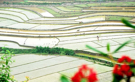 Xiuning, Anhui, China 🗺️ Foro China, el Tíbet y Taiwán 1