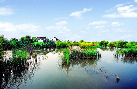 Parque Xixi Wetland, Hangzhou, Zhejiang, China 0