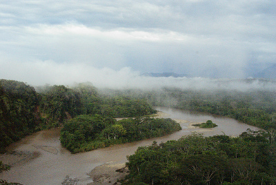 Yasuní, Orellana, Ecuador 1