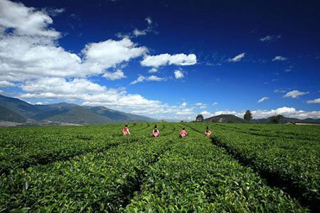 Yingjiang, Yunnan, China 1