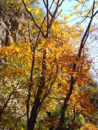 Yudu Shan,Yanqing, Beijing, China 0