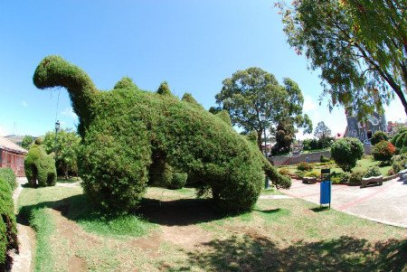 Zarcero, Alajuela, Costa Rica 🗺️ Foro América del Sur y Centroamérica 0