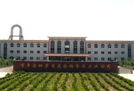 Zhangye, Gansu, China 1