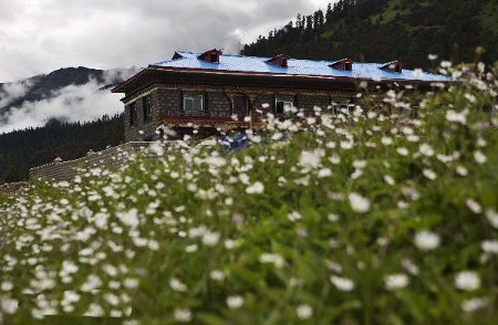 Zhaxigang, Linzhi, Xizang, China 1