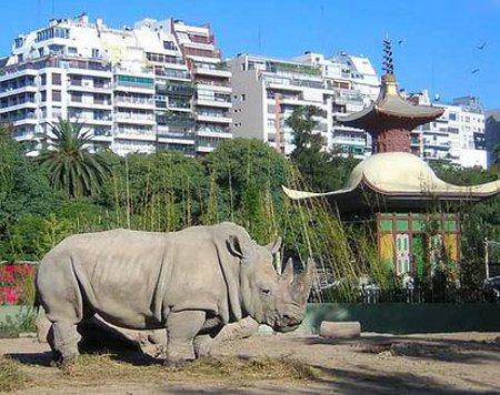 Zoo Palermo, Buenos Aires, Argentina 1