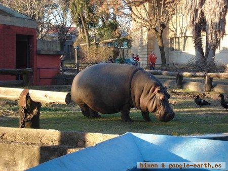 Zoologico Villa Dolores, Montevideo, Uruguay 0